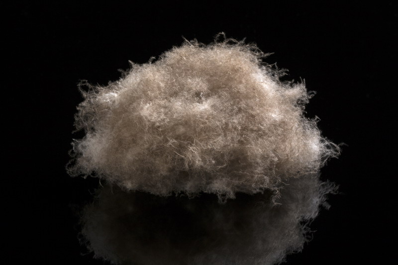 What Are Pros and Cons of Different Types of Pillow Fillings? Fuzzi